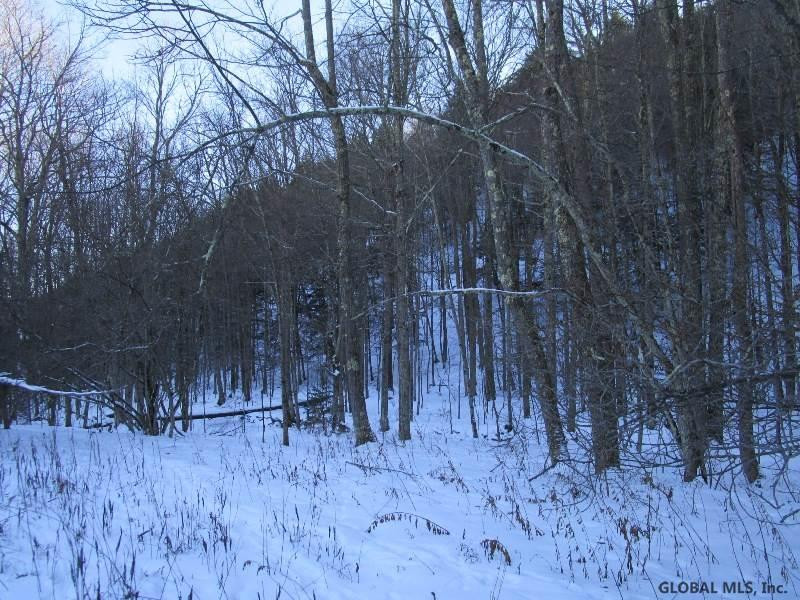 Berry Lane Cobleskill, NY 12043 - Photo 13 of 14 Photo 13