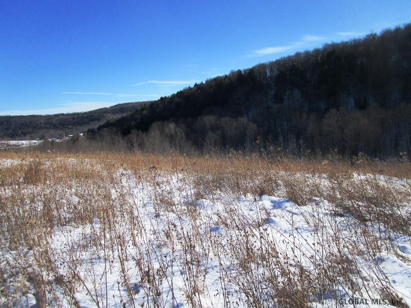 Berry Lane Cobleskill, NY 12043 - Photo 3 of 14 Photo 3