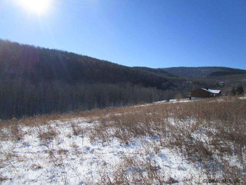 Berry Lane Cobleskill, NY 12043 - Photo 4 of 14 Photo 4