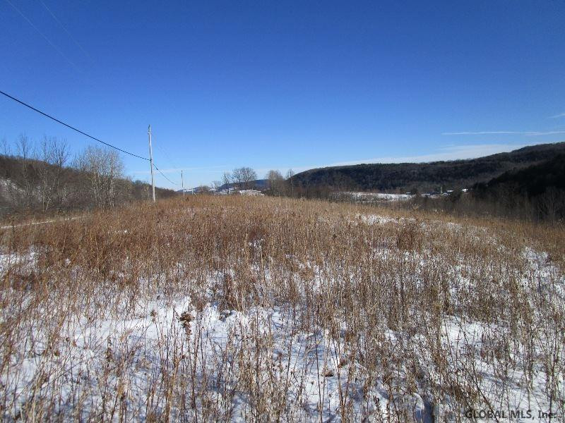 Berry Lane Cobleskill, NY 12043 - Photo 6 of 14 Photo 6