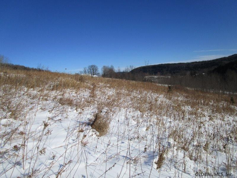 Berry Lane Cobleskill, NY 12043 - Photo 7 of 14 Photo 7