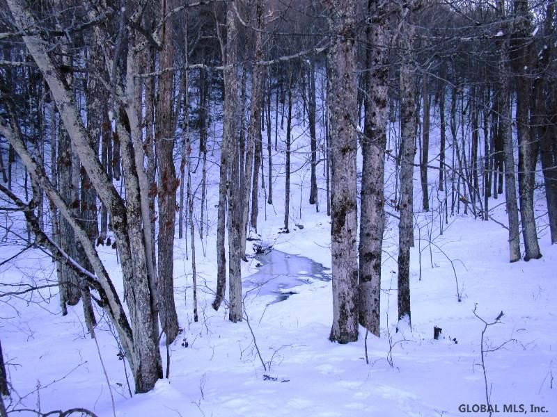 Berry Lane Cobleskill, NY 12043 - Photo 8 of 14 Photo 8