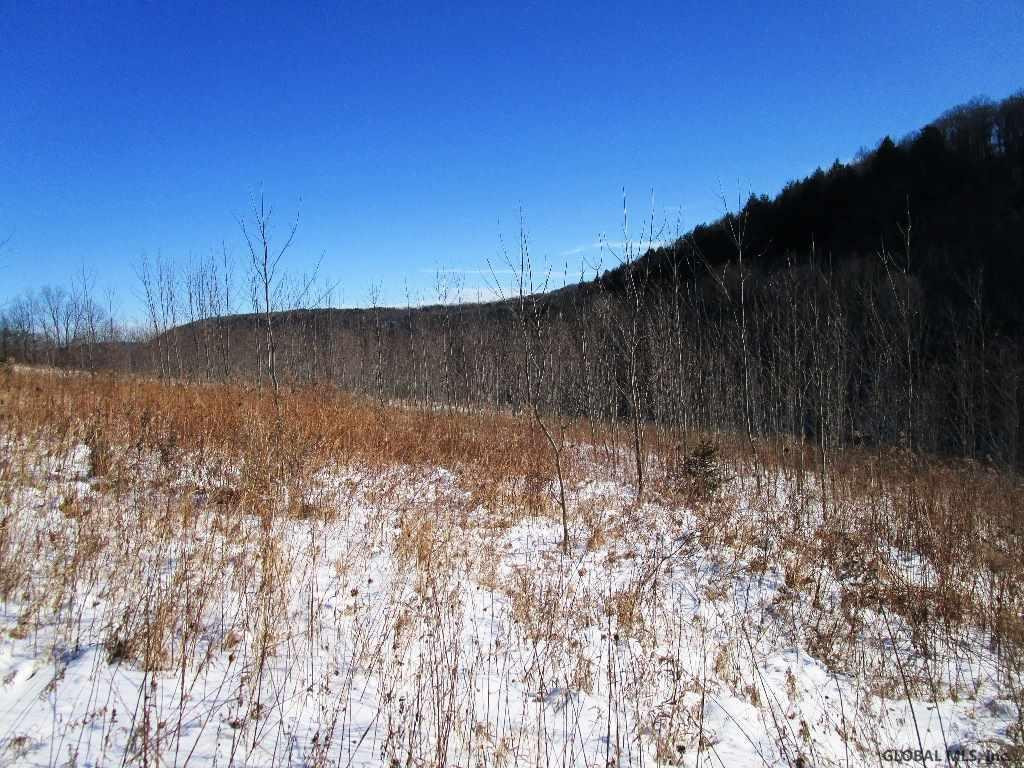 Berry Lane Cobleskill, NY 12043 - Photo 9 of 14 Photo 9
