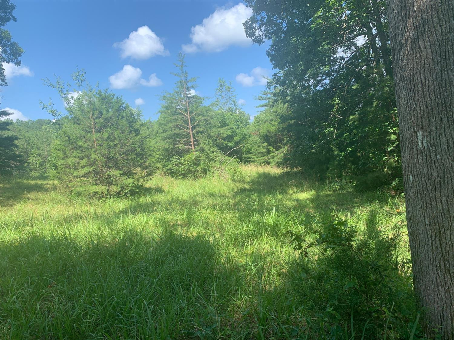 881 Bee Creek Road Corbin, KY 40701 - Photo 36 of 40 Photo 36