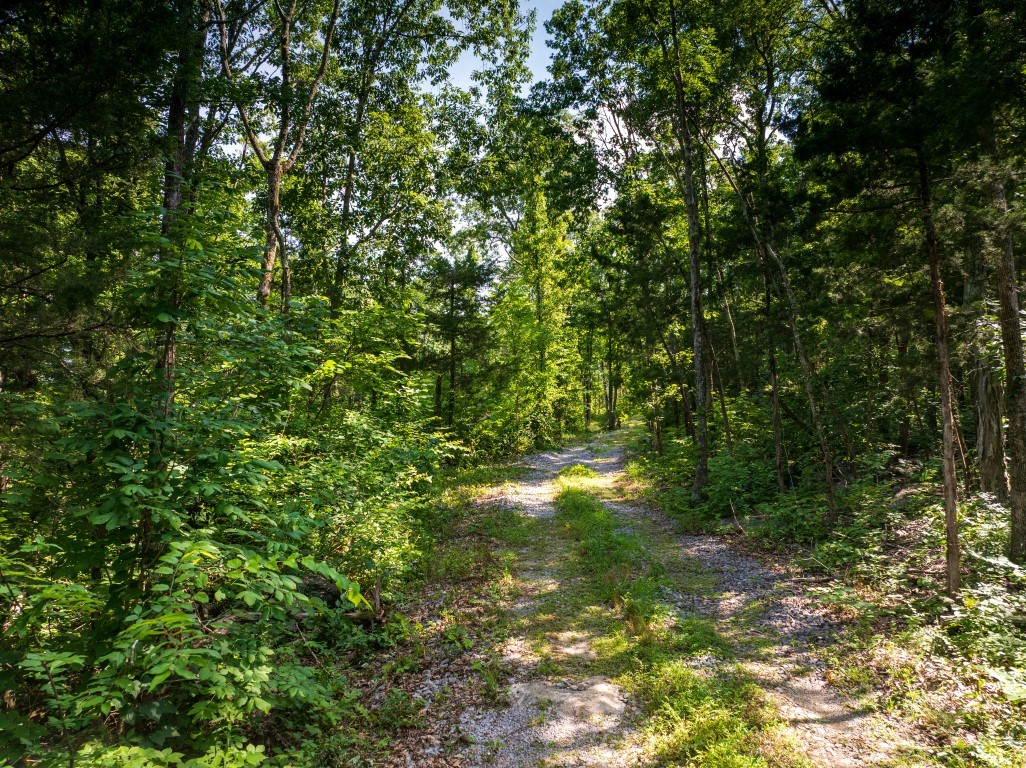 0 McElroy Road Readyville, TN 37149 - Photo 6 of 19