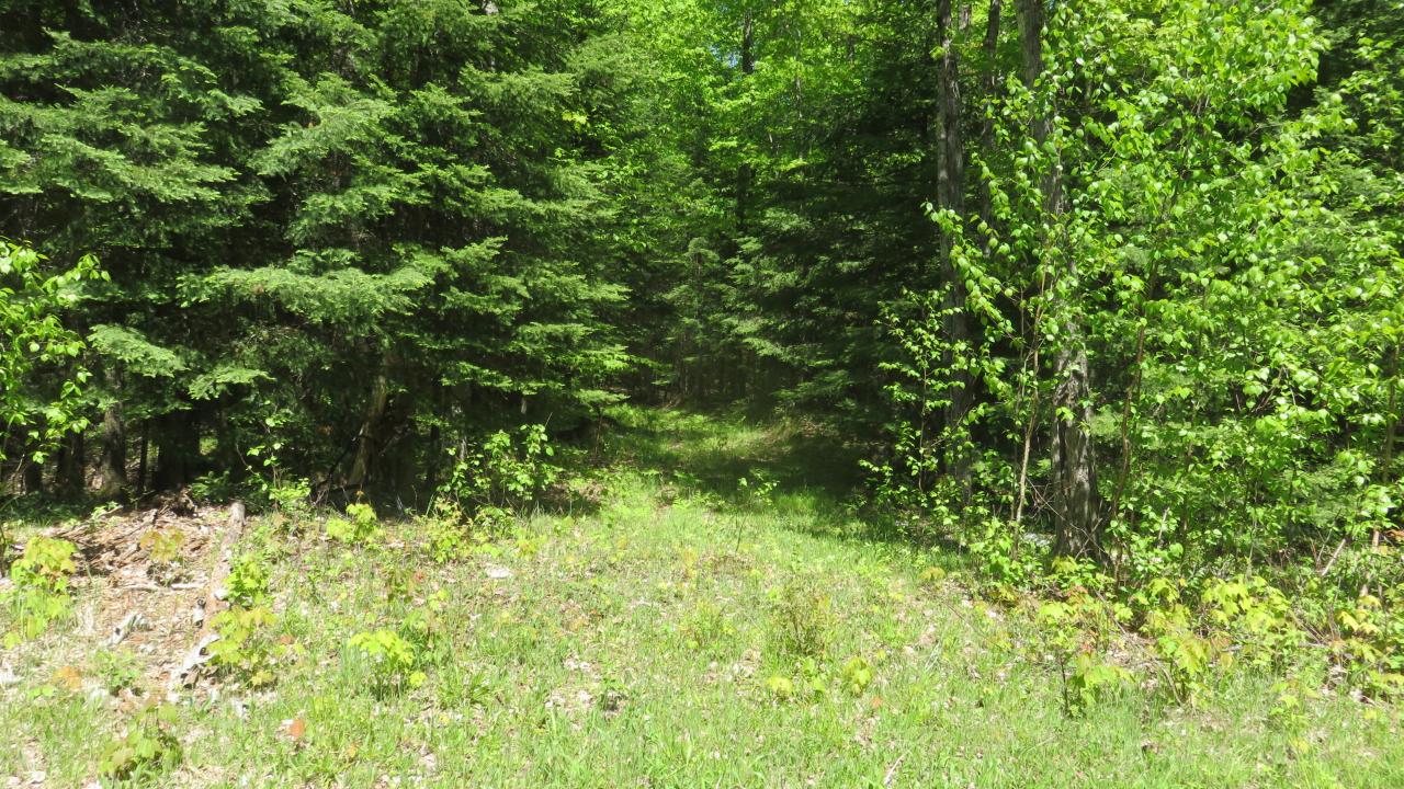 Lot 1415 Wildcat Road Presque Isle, WI 54557 - Photo 7 of 47 Gallery Image 7