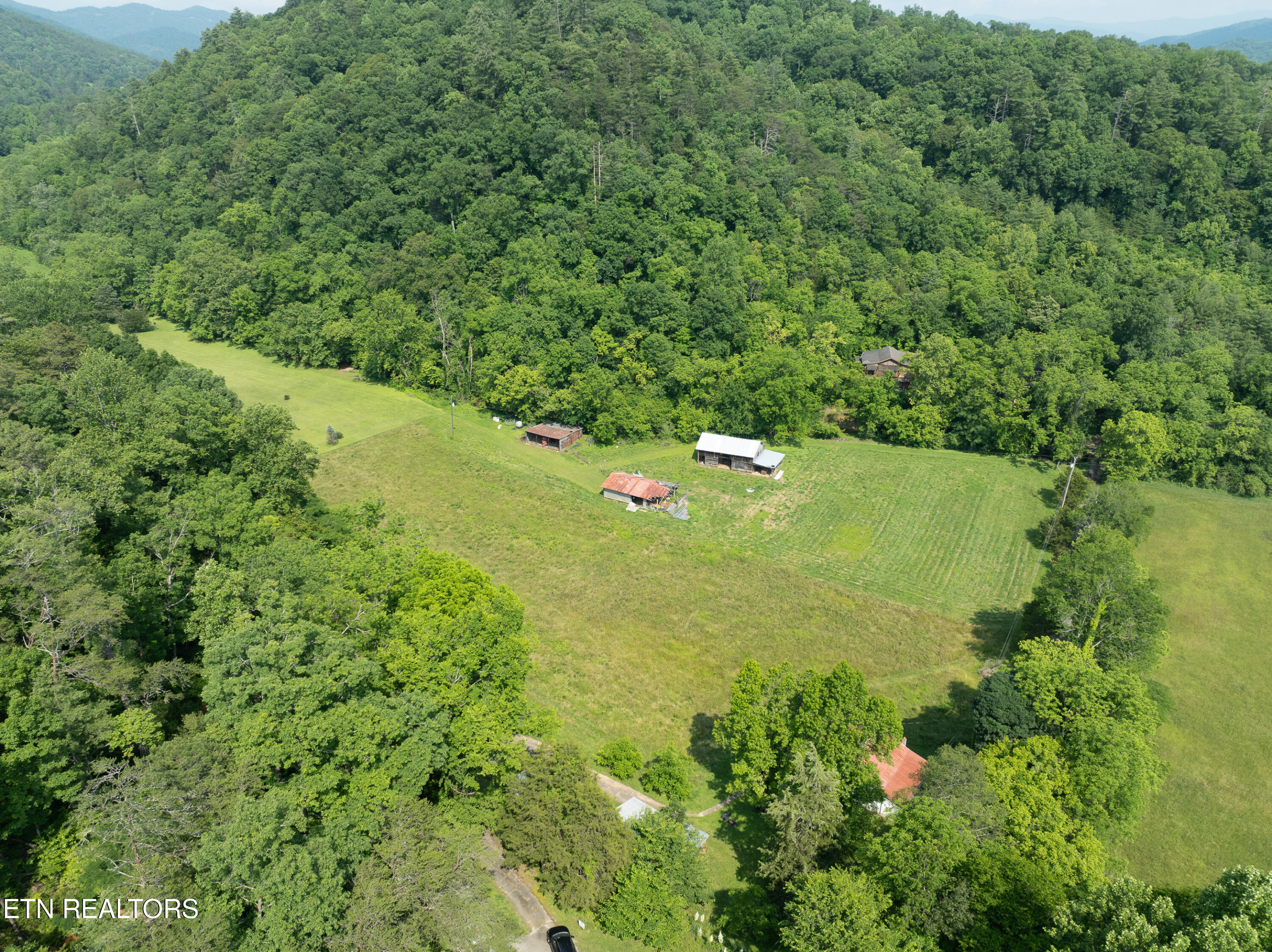468 Rudd Road Townsend, TN 37882 - Photo 8 of 17 DJI_0005