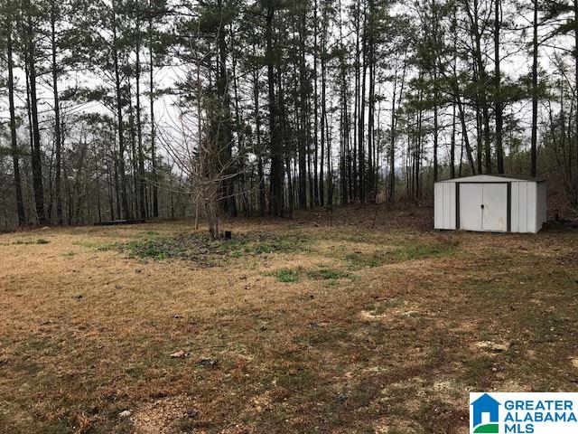 57 Peace Road Piedmont, AL 36272 - Photo 14 of 22