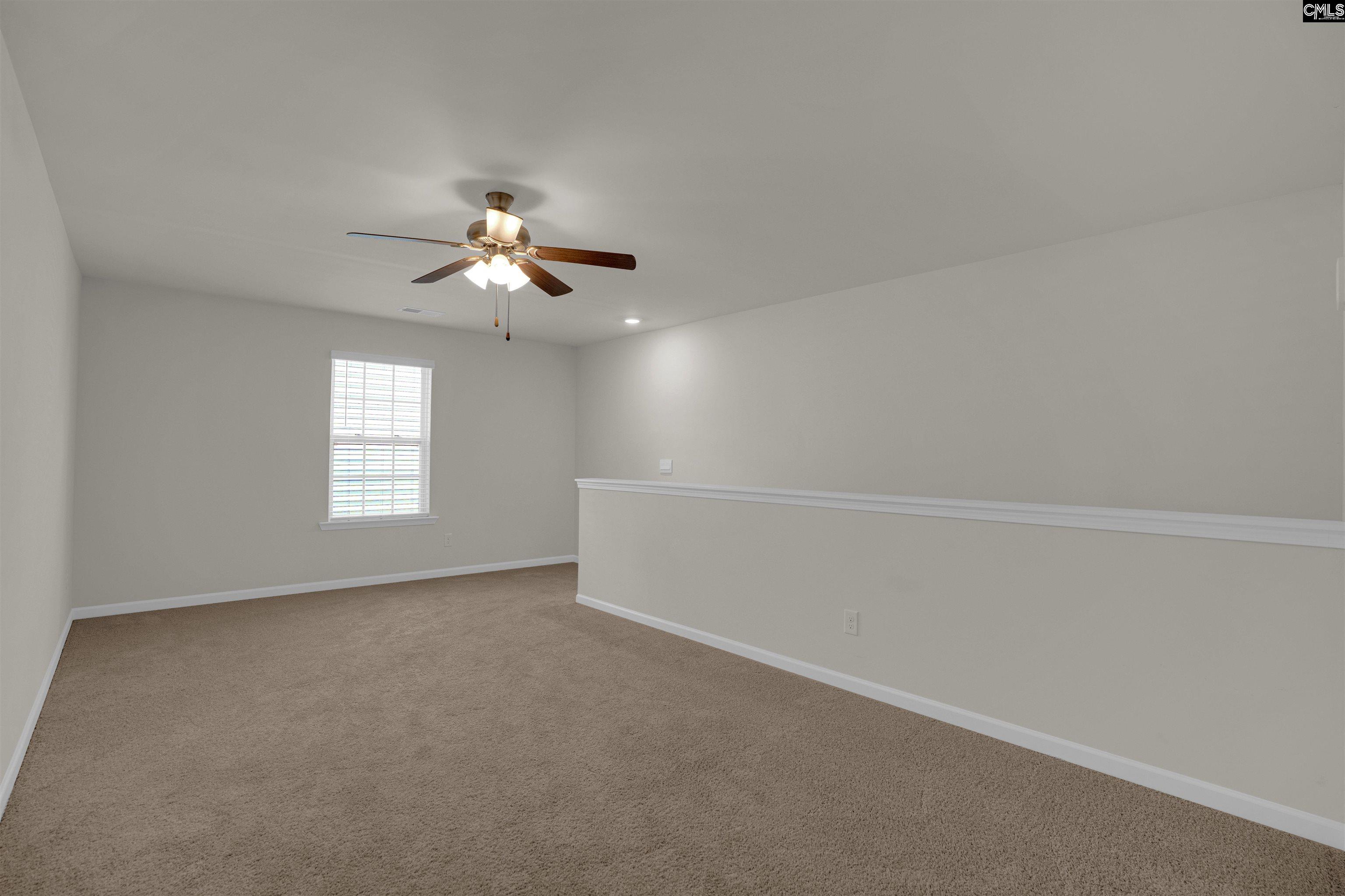 329 Sycamore Crest Way Chapin, SC 29036 - Photo 34 of 43