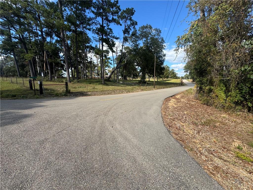 0 East Bell Road Amite, LA 70422 - Photo 2 of 2