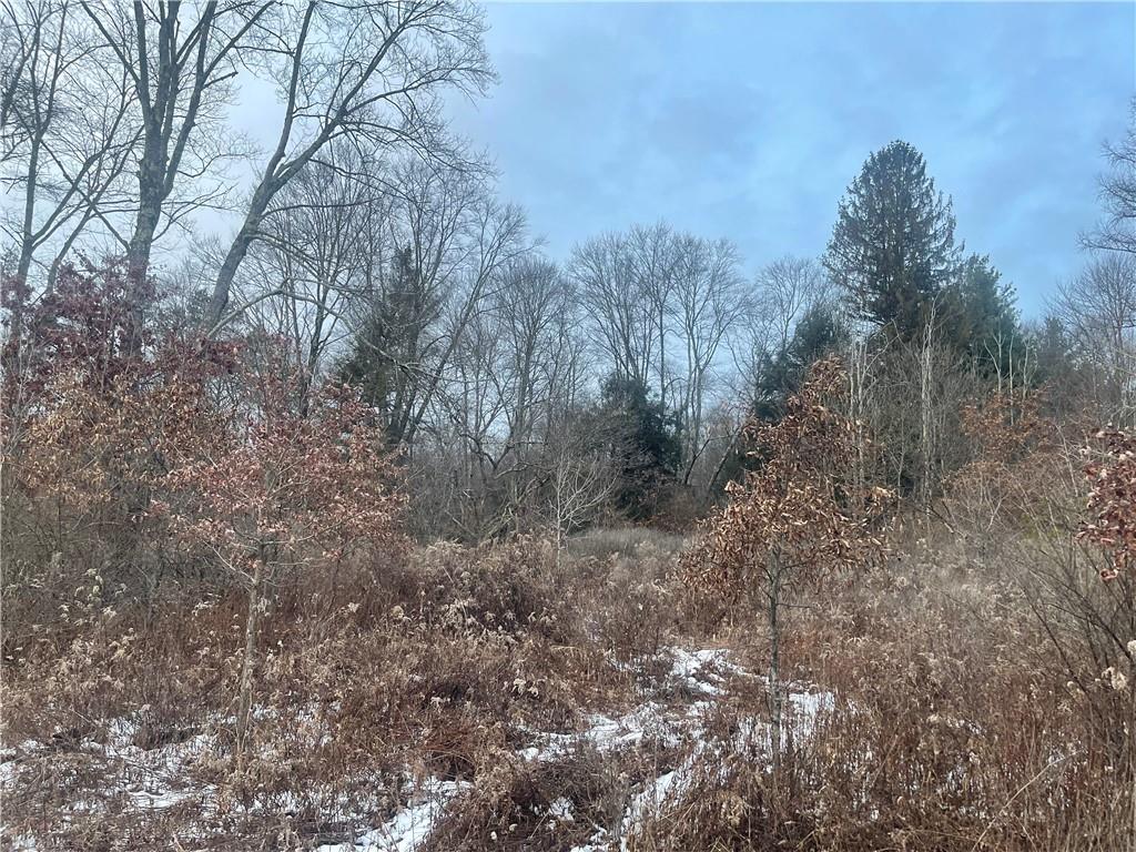 0 Rogers Riviera Road Emlenton, PA 16373 - Photo 2 of 8