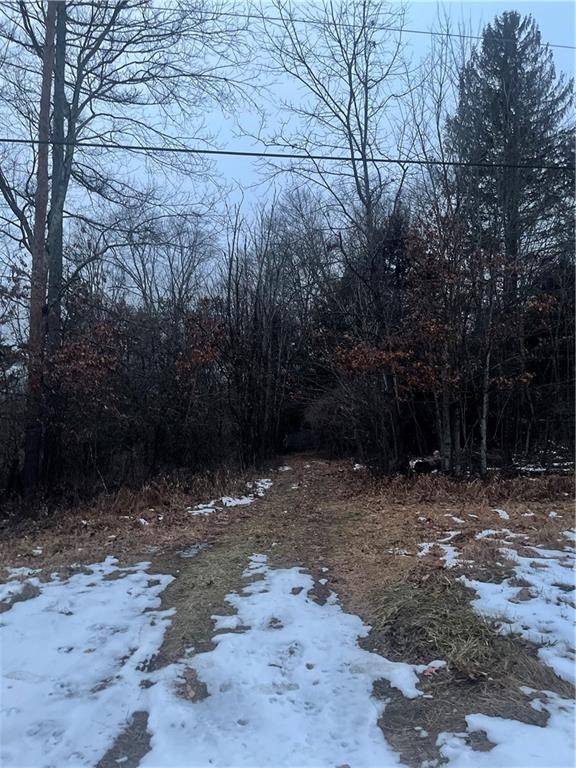 0 Rogers Riviera Road Emlenton, PA 16373 - Photo 8 of 8