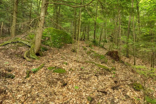 $24,999 | 0 Interlaken Drive, Unit 55, New Durham, NH 03855