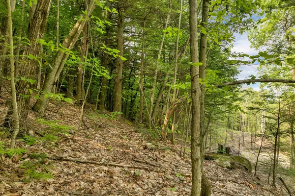 $23,999 | 0 Interlaken Drive, Unit 55, New Durham, NH 03855