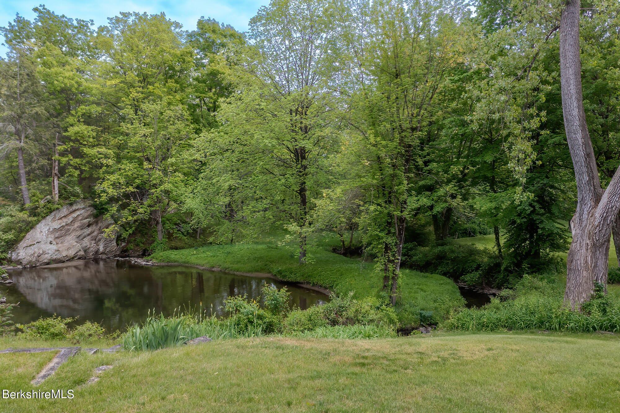1194 Ashley Falls Road Sheffield, MA 01257 - Photo 60 of 62 63 Rear lawn 1