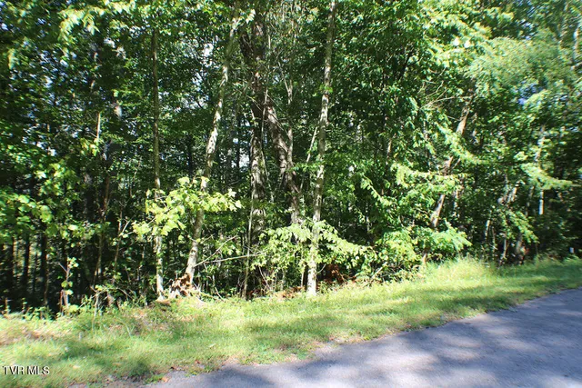 $21,000 | Tbd Deer Creek Crossing, Unit 22, Mountain City, TN 37683