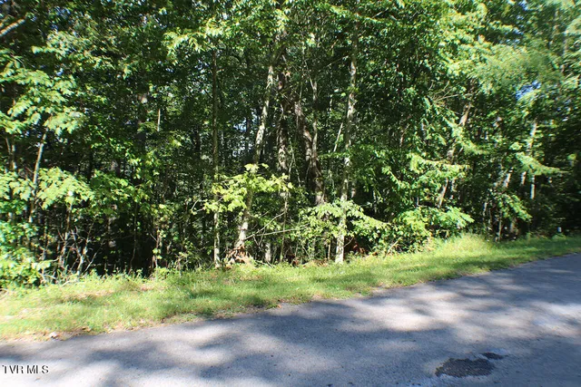 $21,000 | Tbd Deer Creek Crossing, Unit 22, Mountain City, TN 37683