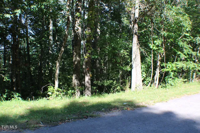 $21,000 | Tbd Deer Creek Crossing, Unit 22, Mountain City, TN 37683