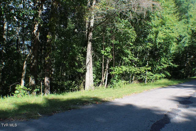 $21,000 | Tbd Deer Creek Crossing, Unit 22, Mountain City, TN 37683