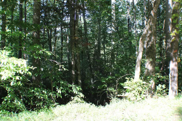 $21,000 | Tbd Deer Creek Crossing, Unit 22, Mountain City, TN 37683