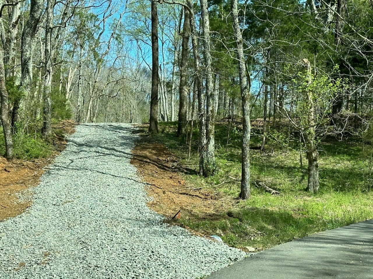 0 Campbellsville Road Pulaski, TN 38478 - Photo 2 of 10