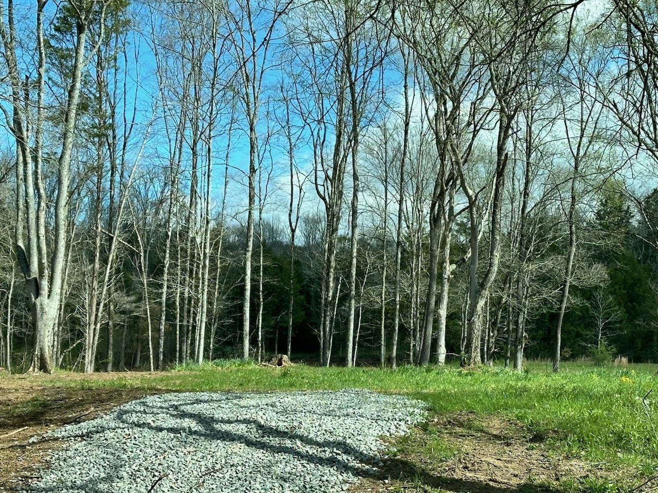 0 Campbellsville Road Pulaski, TN 38478 - Photo 3 of 10