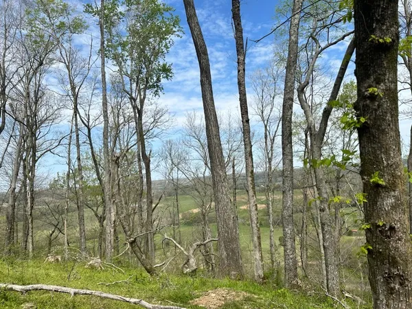 $509,000 | 0 Campbellsville Road, Pulaski, TN 38478