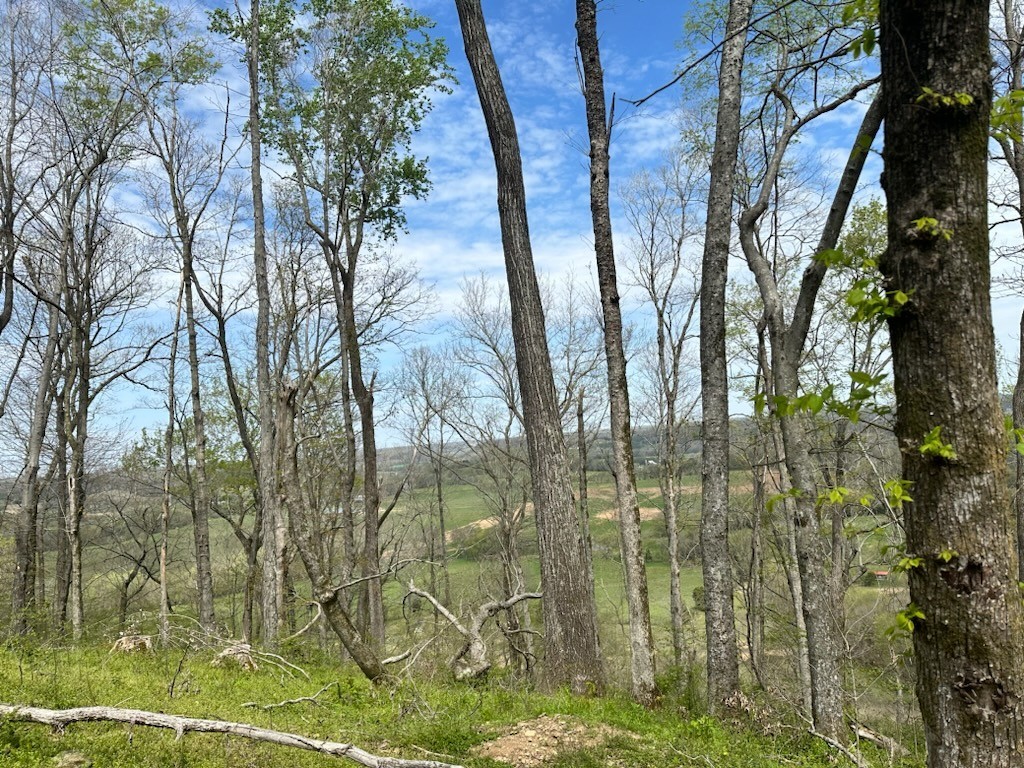 0 Campbellsville Road Pulaski, TN 38478 - Photo 6 of 10