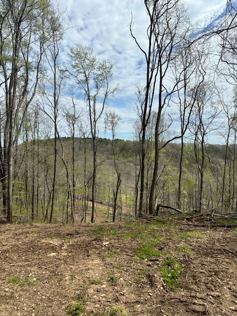 0 Campbellsville Road Pulaski, TN 38478 - Photo 7 of 10