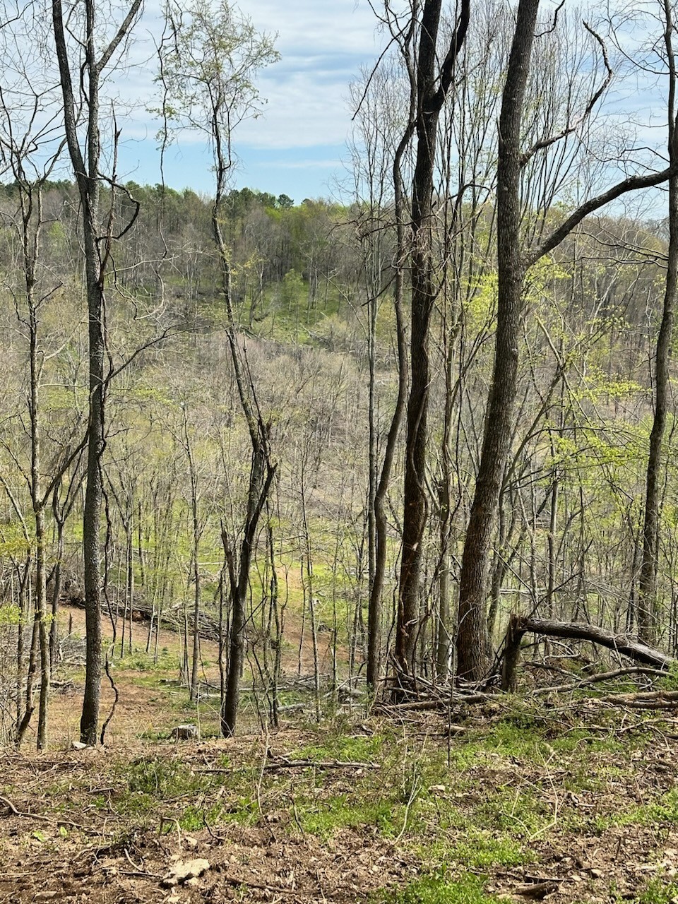 0 Campbellsville Road Pulaski, TN 38478 - Photo 8 of 10