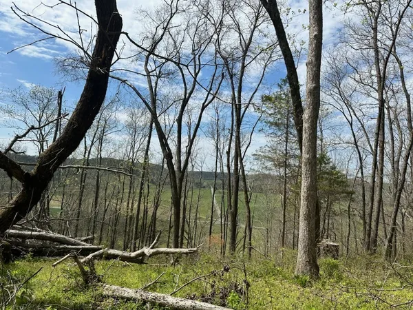 $509,000 | 0 Campbellsville Road, Pulaski, TN 38478