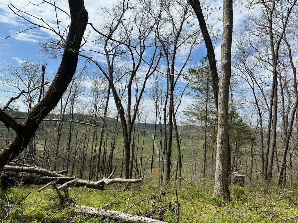 0 Campbellsville Road Pulaski, TN 38478 - Photo 9 of 10