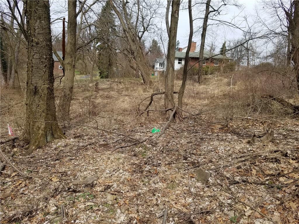 2401 Middle Road Glenshaw, PA 15116 - Photo 4 of 7