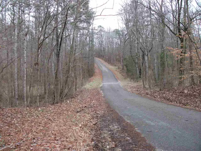 a view of a dry yard with trees