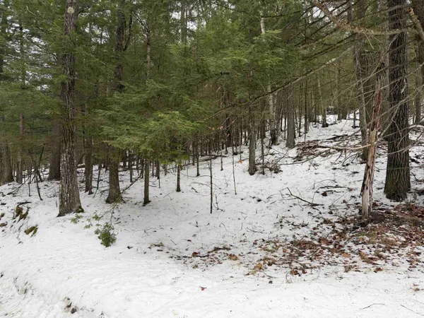 $20,000 | 0 Wetherbee Road, Unit 19, Lyman, NH 03585