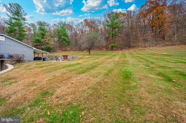 a view of a swimming pool with a garden