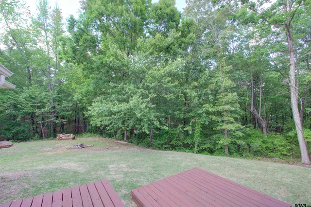 a view of a forest that has a tree in the background