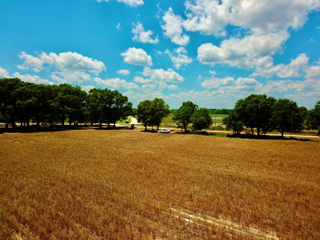 92 County Road 92 Slocomb, AL 36375 - Photo 13 of 58