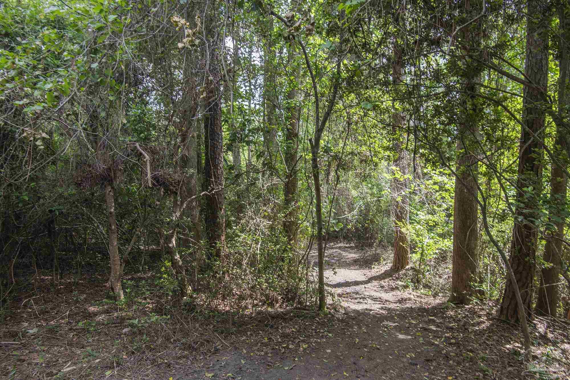 1210 Goldenrod Road Cantonment, FL 32533 - Photo 42 of 50 a view of a forest with trees in the background