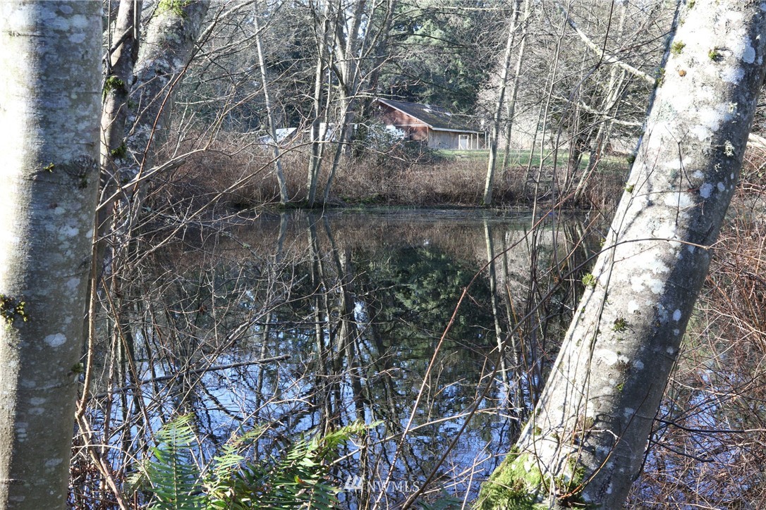 6848 Holst Road Clinton, WA 98236 - Photo 14 of 15 Gallery Image 14