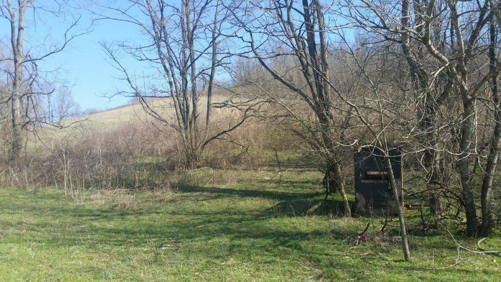 6915 Four Mile Road Winchester, KY 40391 - Photo 10 of 22 Photo 10
