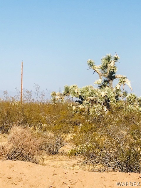 698 South Gene Autry Road Yucca, AZ 86438 - Photo 4 of 27 a view of a water view