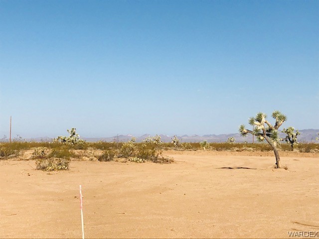 698 South Gene Autry Road Yucca, AZ 86438 - Photo 7 of 27 a view of ocean view