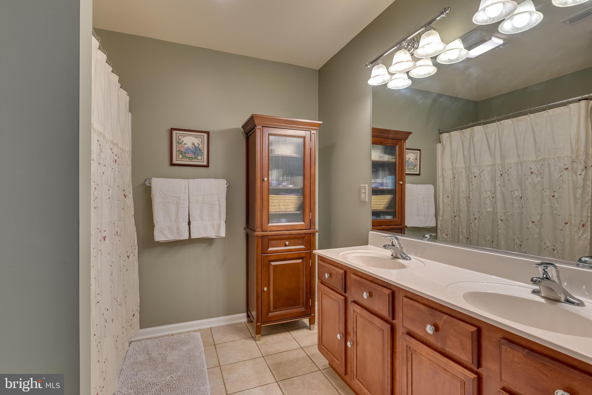 42 Fuzzy Tail Drive Ranson, WV 25438 - Photo 46 of 59 2nd master bath includes tub/shower combo