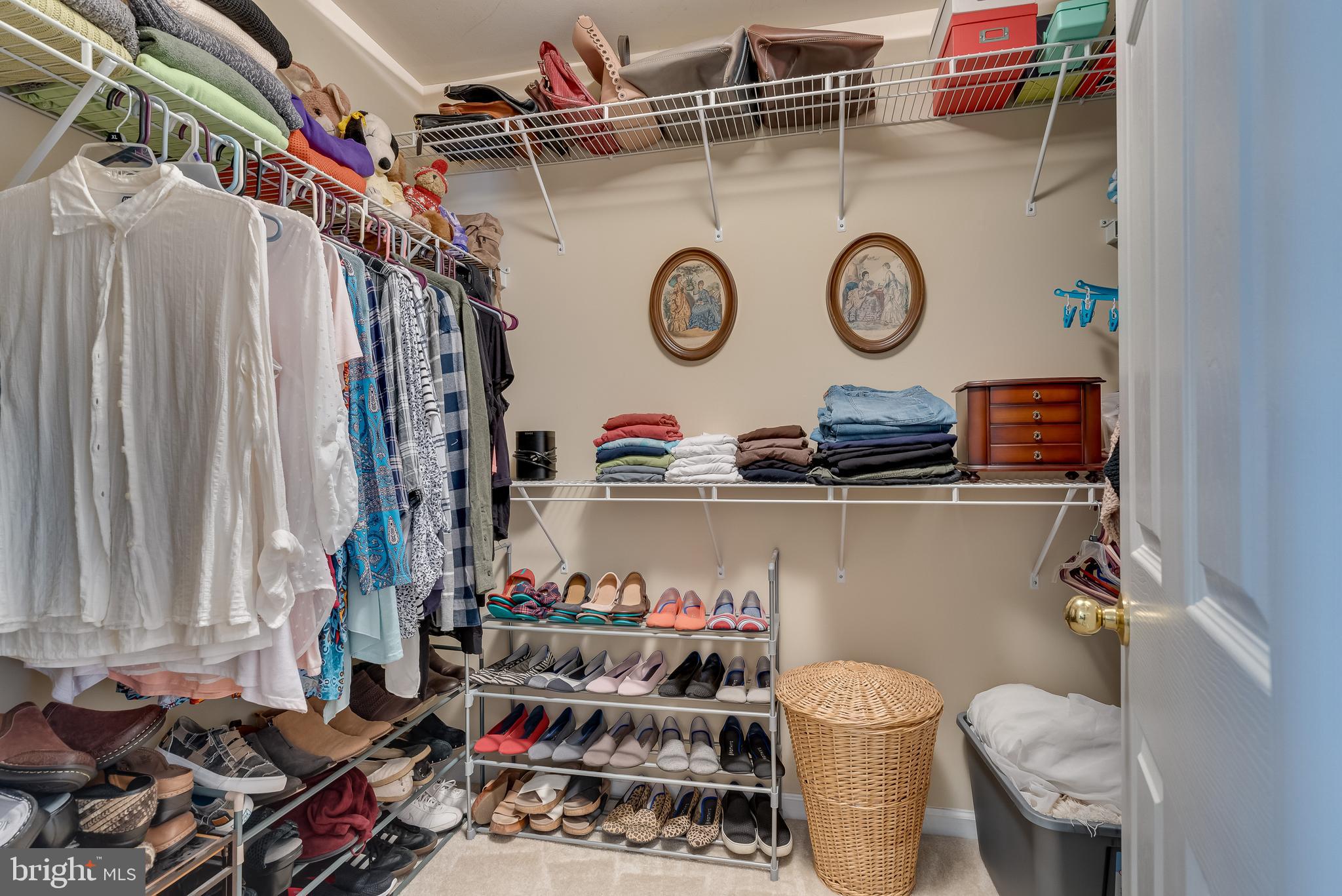 42 Fuzzy Tail Drive Ranson, WV 25438 - Photo 50 of 59 Great storage with hanging racks and shelving