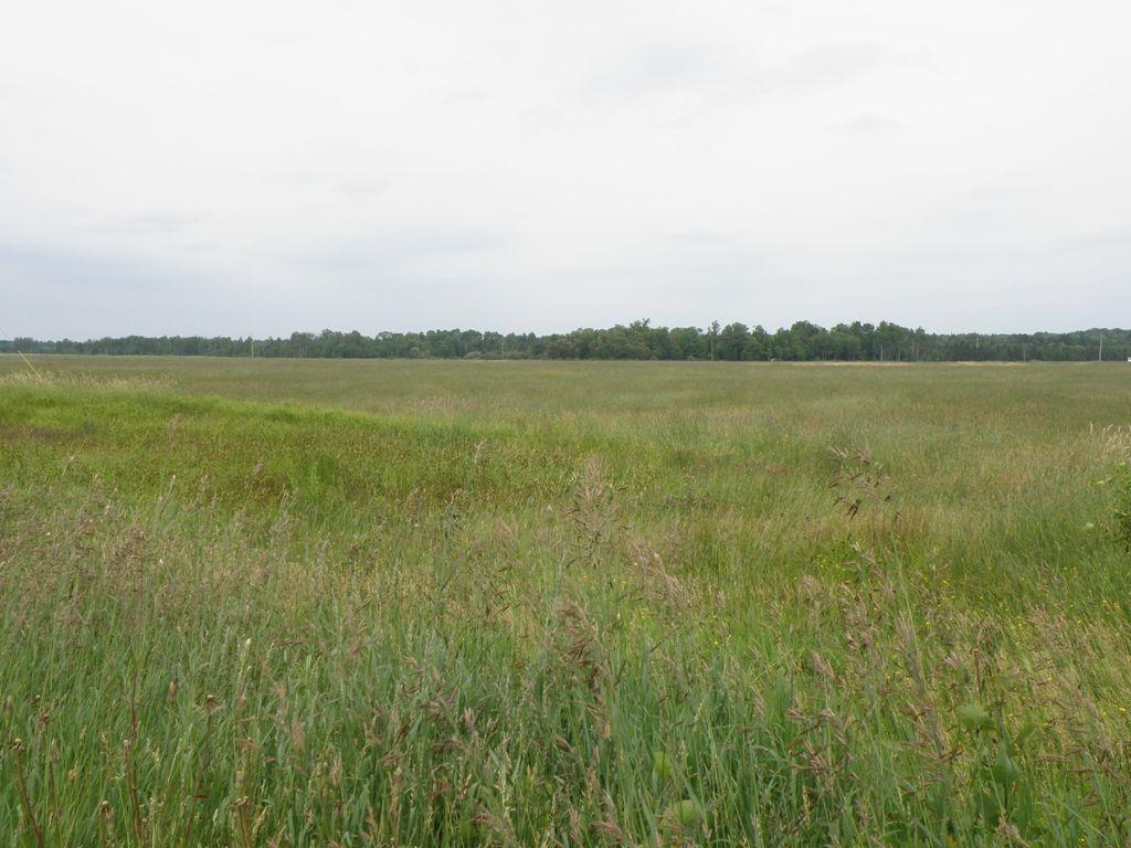 12248 South Bound Road Dafter, MI 49724 - Photo 37 of 61 Gallery Image 37
