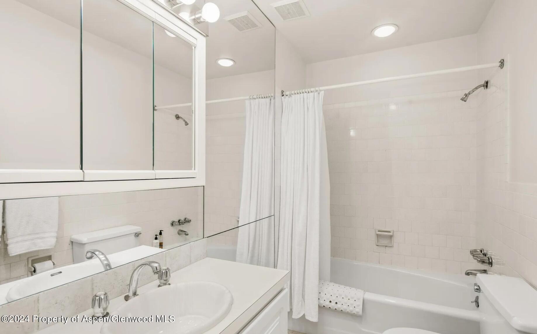 108 West Hyman Avenue, Unit 2 Aspen, CO 81611 - Photo 17 of 18 a bathroom with a tub sink and a shower