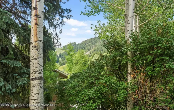 a view of a yard with plants and trees