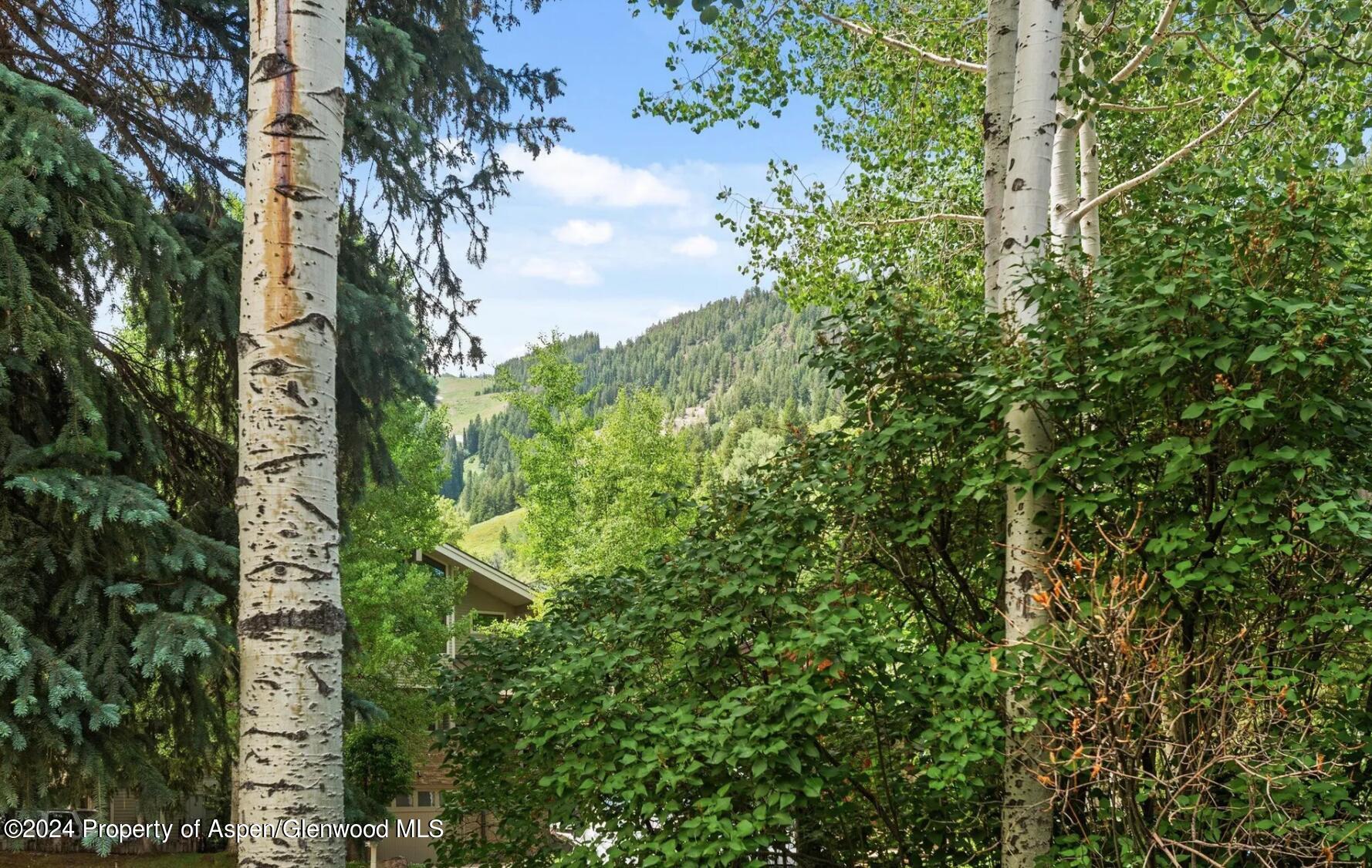 108 West Hyman Avenue, Unit 2 Aspen, CO 81611 - Photo 18 of 18 a view of a yard with plants and trees