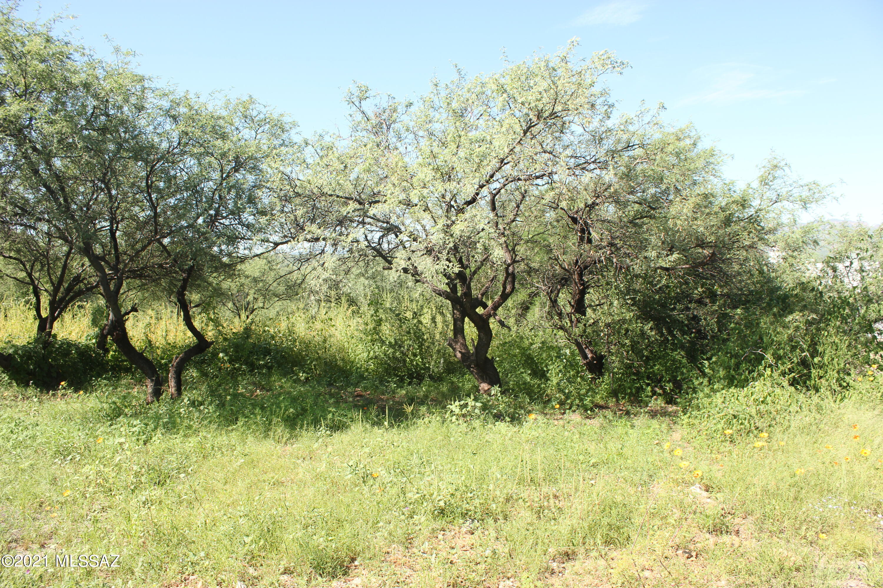 378 Via Manzana, Unit 10 Rio Rico, AZ 85648 - Photo 2 of 3